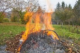 Burning leaf pile