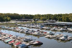 Boats parked in Sunset Marina